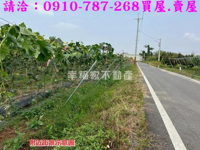 台南農地-7