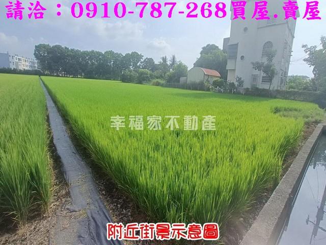 台南六甲農地-14