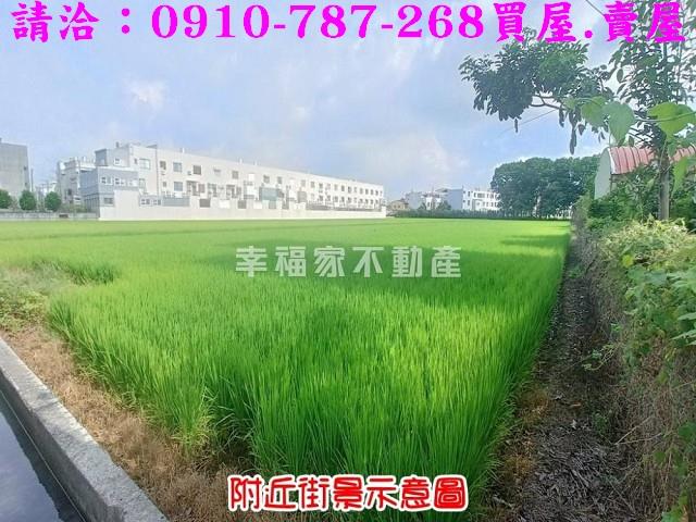 台南六甲農地-3