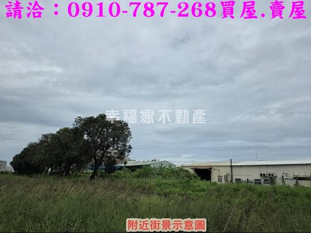 仁德農地-9