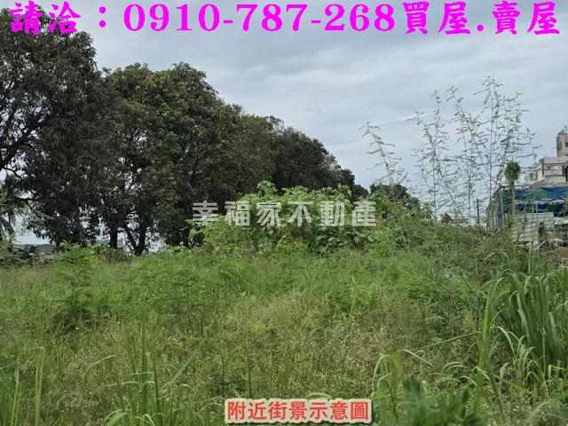 仁德農地-10