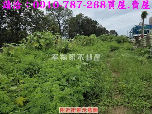 仁德農地-11