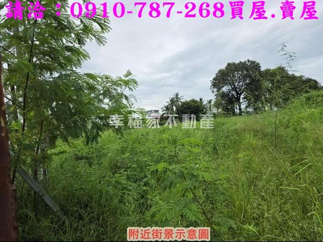 仁德農地-12