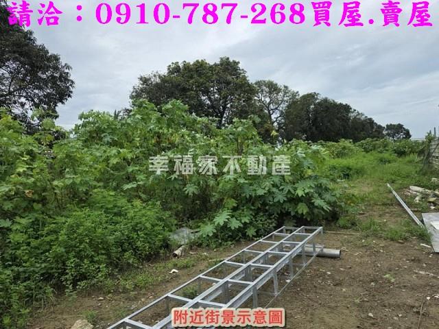 仁德農地-2