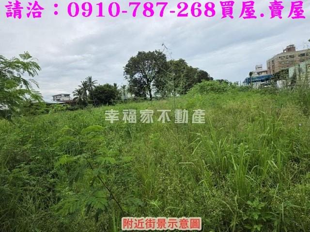 仁德農地-3
