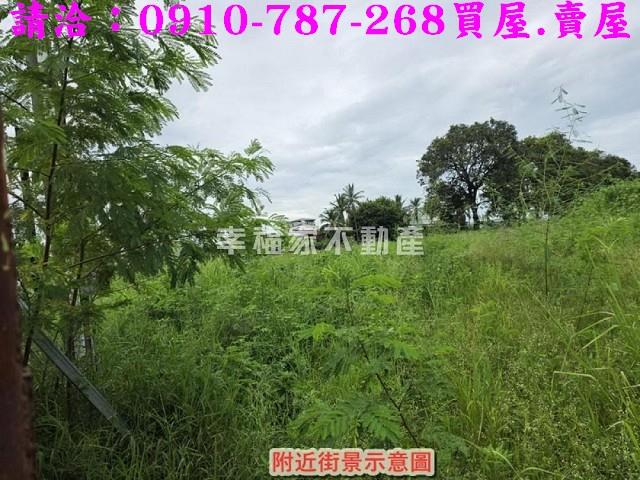 仁德農地-5