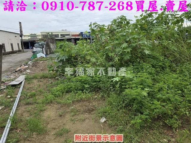 仁德農地-7