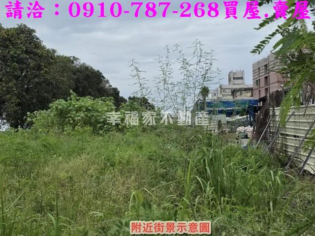 仁德農地-8