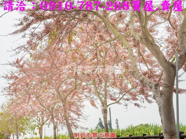 西港建地-11