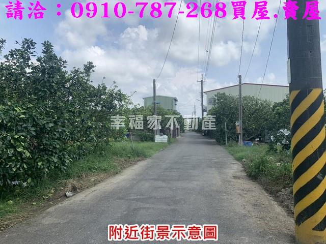 麻豆農地-10