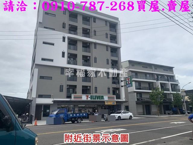 麻豆農地-11