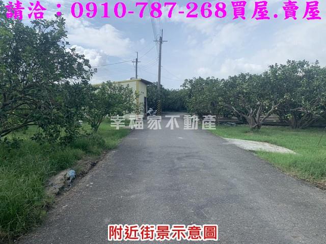 麻豆農地-0