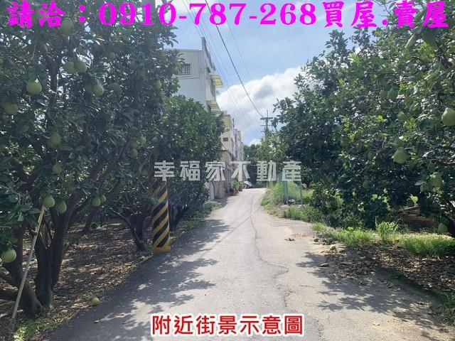 麻豆農地-1
