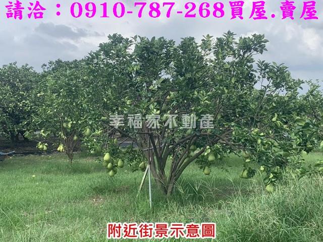 麻豆農地-2