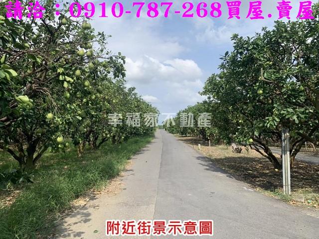 麻豆農地-3