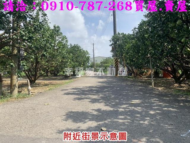 麻豆農地-4