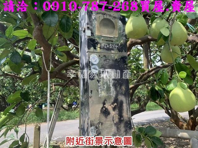 麻豆農地-8
