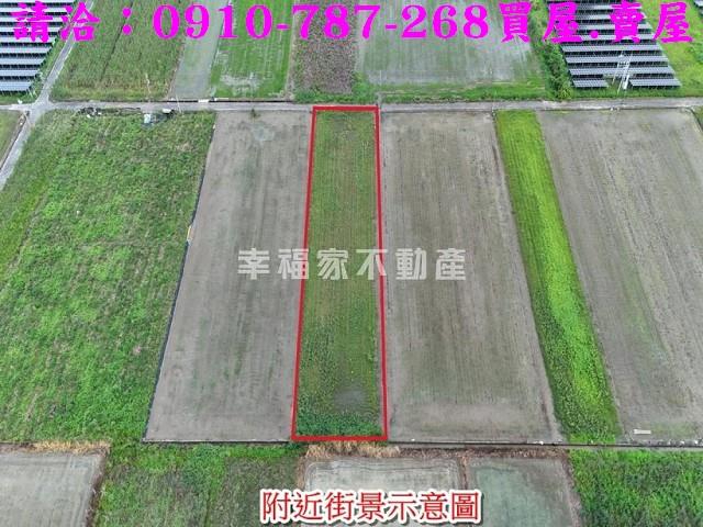 台南善化農地-2