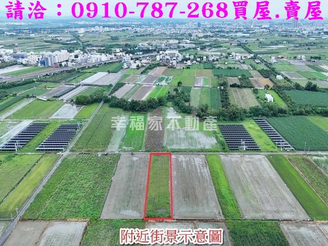 台南善化農地-4