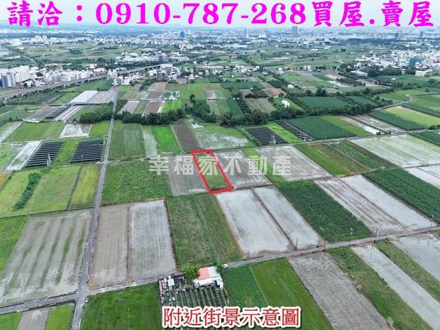 台南善化農地-5