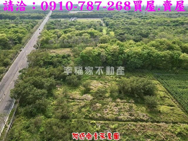 歸仁農地-9