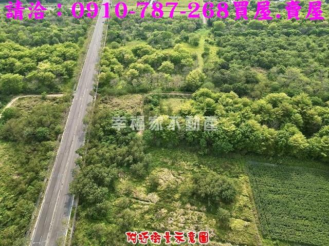 歸仁農地-2