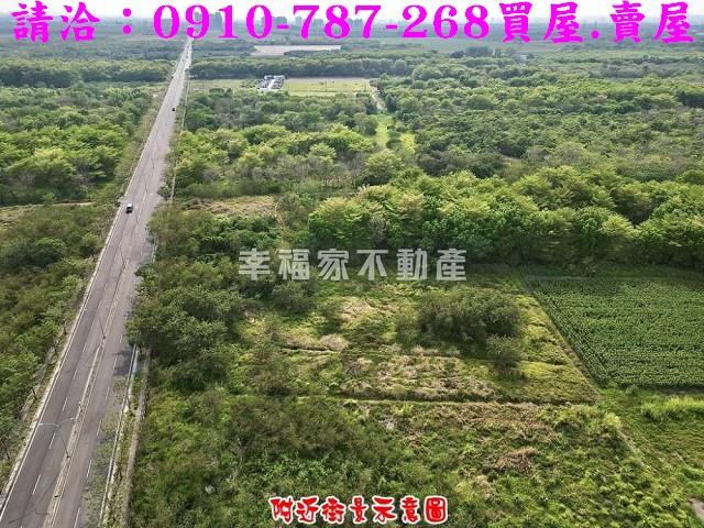 歸仁農地-4