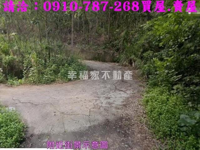 台南農地-5