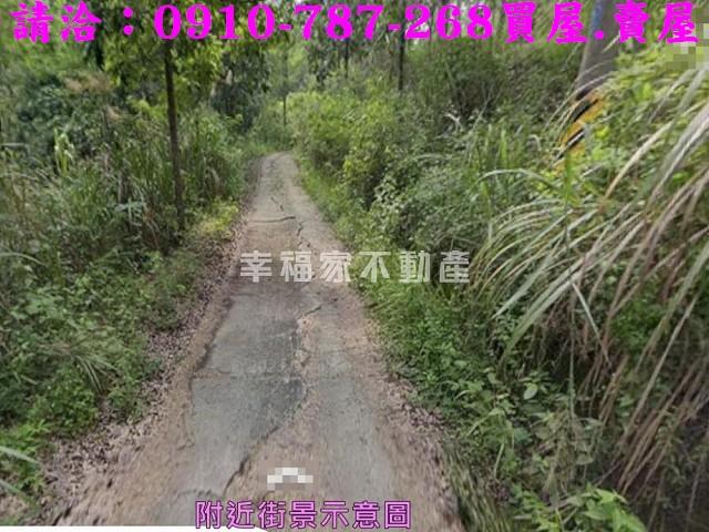 台南農地-6