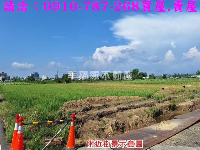 台南善化農地-10