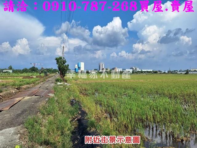 台南善化農地-11