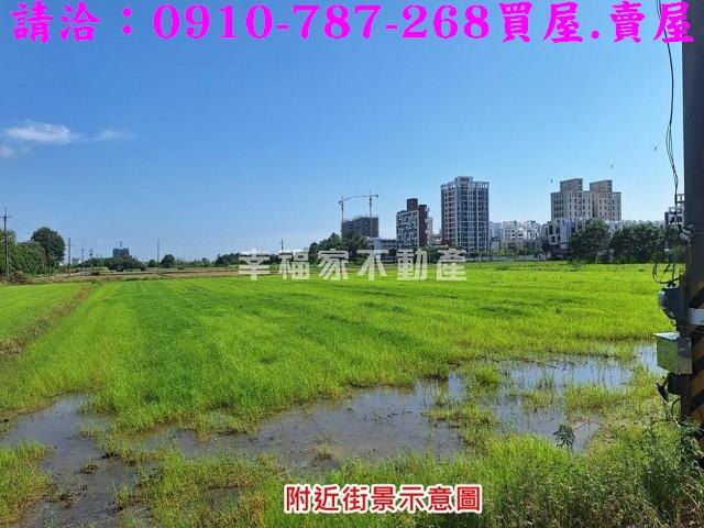 台南善化農地-0