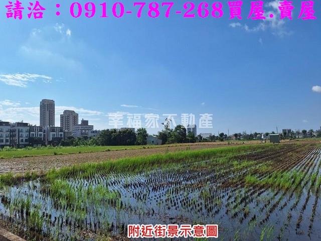 台南善化農地-1