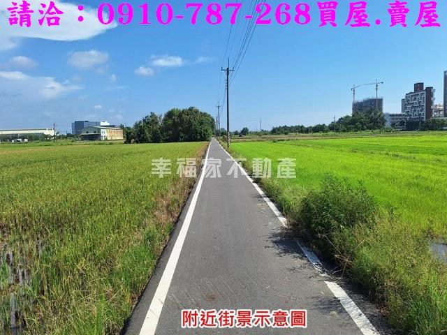 台南善化農地-4