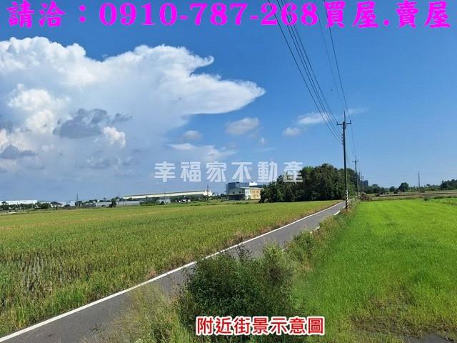 台南善化農地-5
