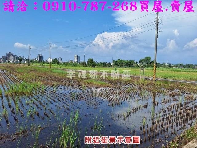 台南善化農地-6