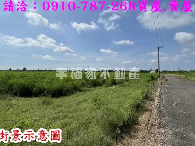 新市農地-5