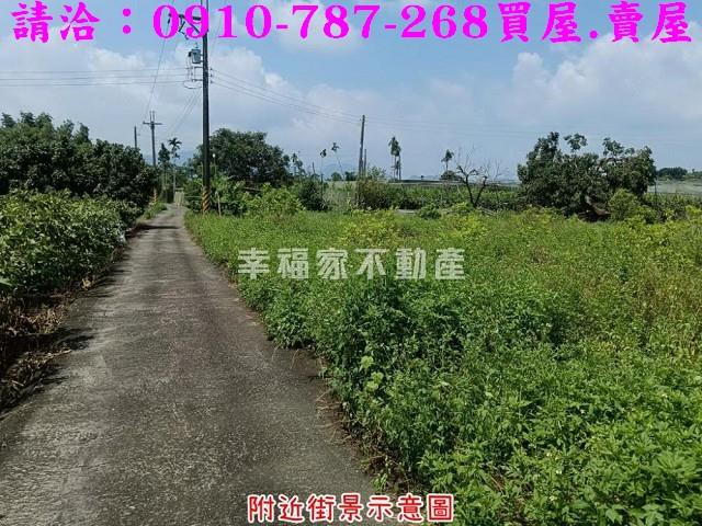 台南農地-4