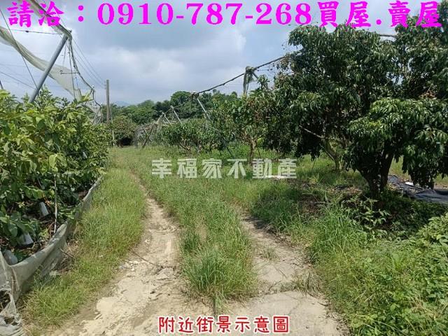 台南農地-5