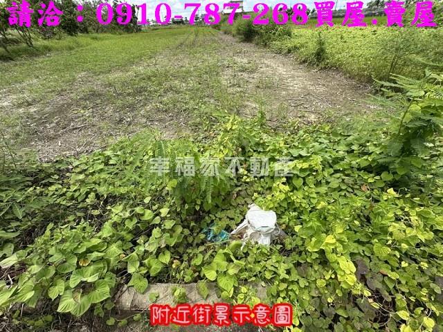 台南農地-11