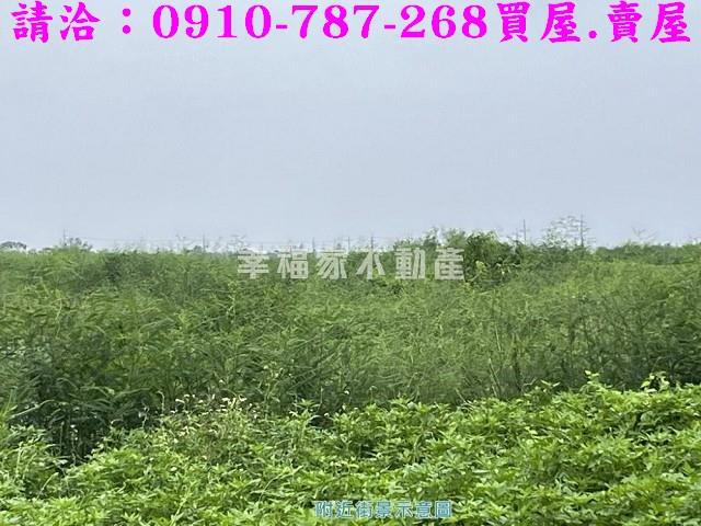 安南休閒地-5