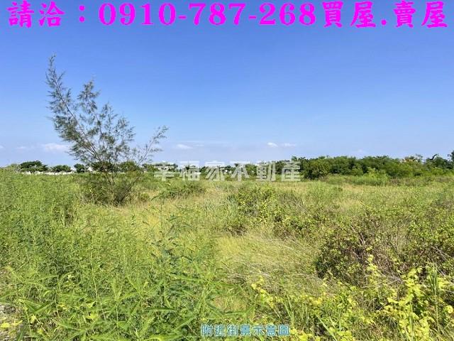 安南休閒地-6
