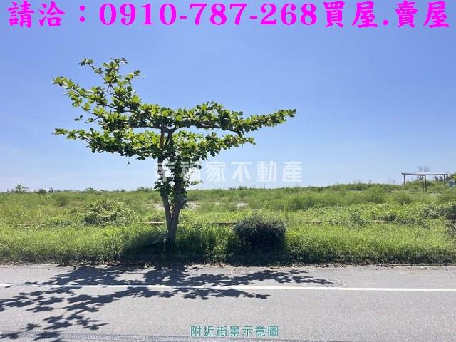 安南休閒地-7