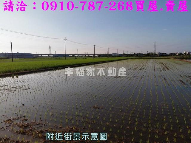 台南官田農地-11