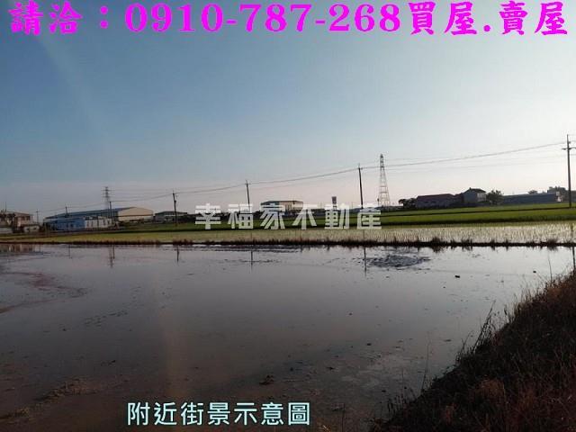 台南官田農地-13