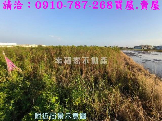 台南官田農地-1