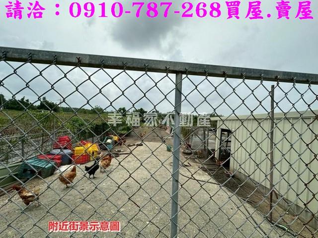 台南柳營農地-6