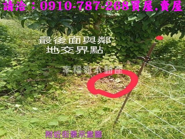 南化農地-10