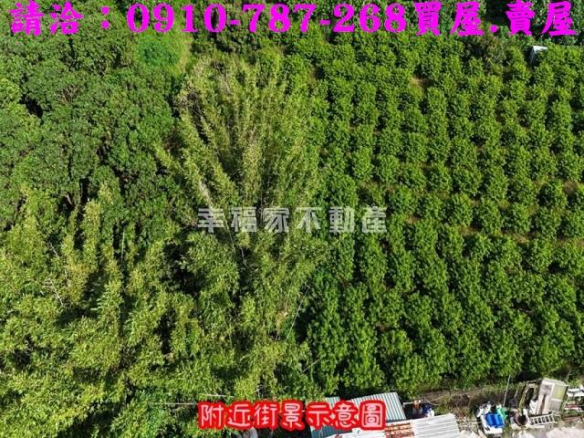台南農地-10