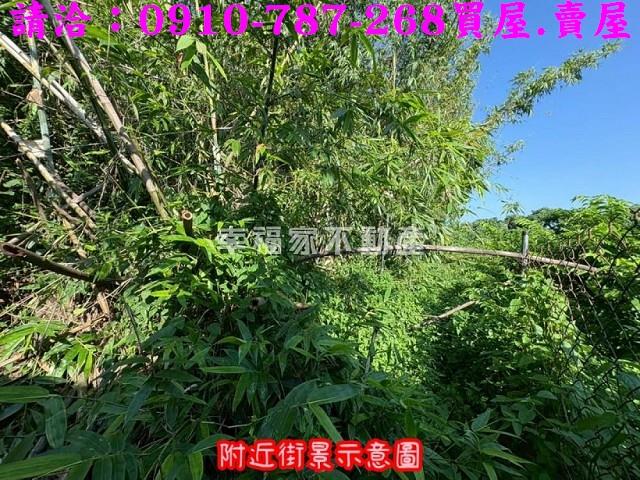 台南農地-11